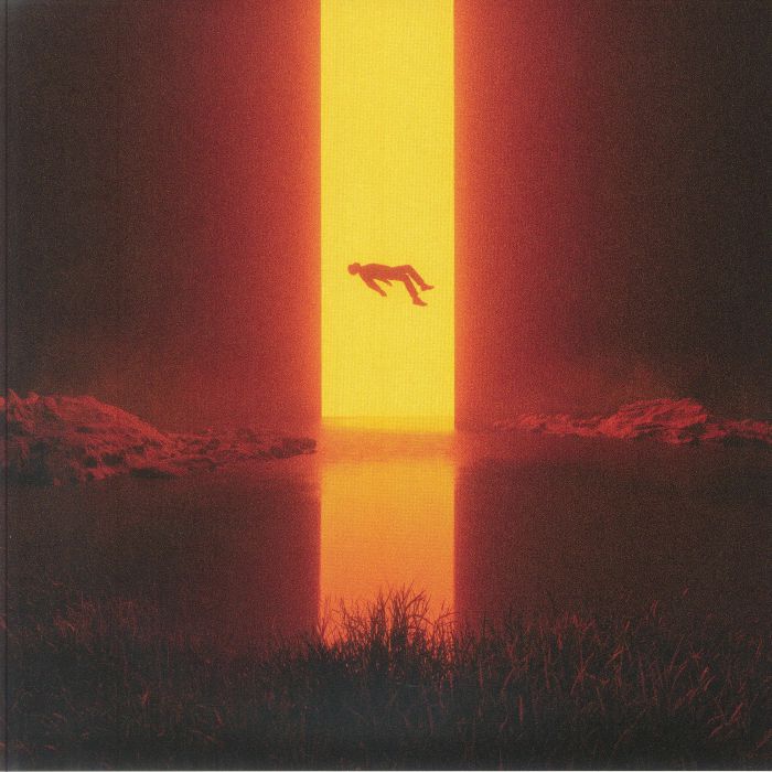 Loss - Vinyl LP vinyl record cover