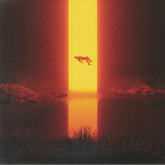 Loss - Vinyl LP vinyl record cover