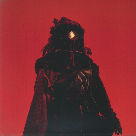 Sanctuary - Vinyl LP vinyl record cover
