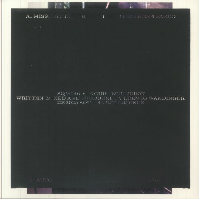 Wounding - Vinyl LP vinyl record cover