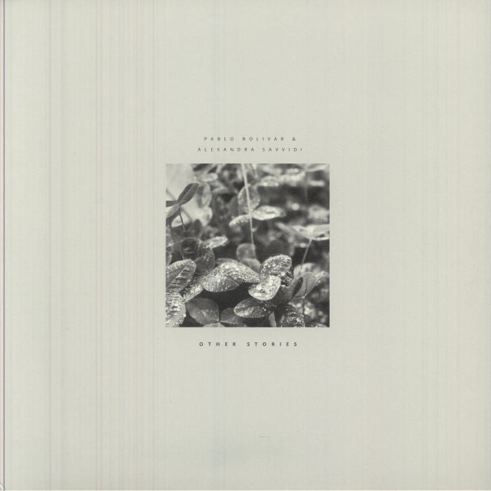 Other Stories - Vinyl LP vinyl record cover