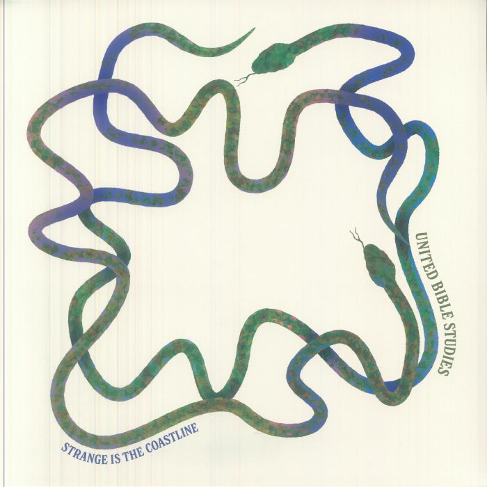 Strange Is The Coastline - Vinyl LP vinyl record cover