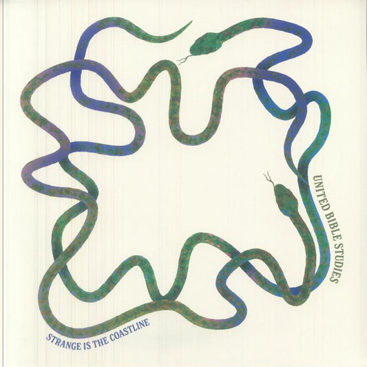 Strange Is The Coastline - Vinyl LP vinyl record cover