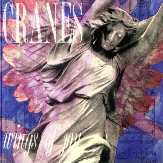 Wings Of Joy - Vinyl LP vinyl record cover