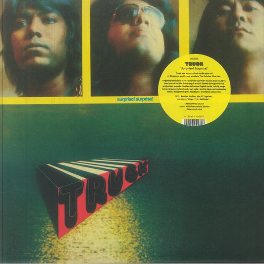 Surprise! Surprise! - Vinyl LP vinyl record cover