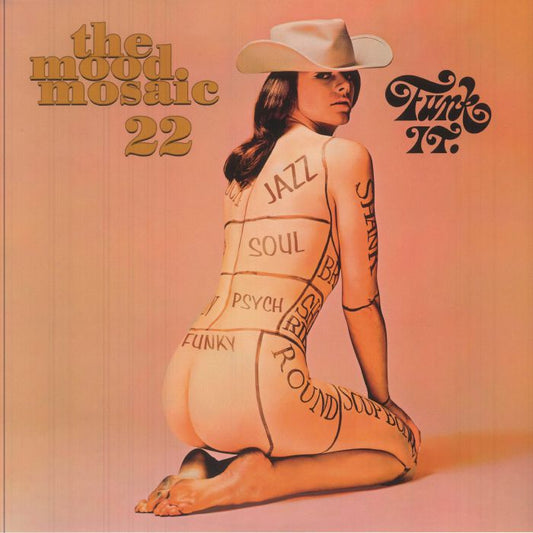 The Mood Mosaic 22: Funk It - Limited Edition 2xLP vinyl record cover