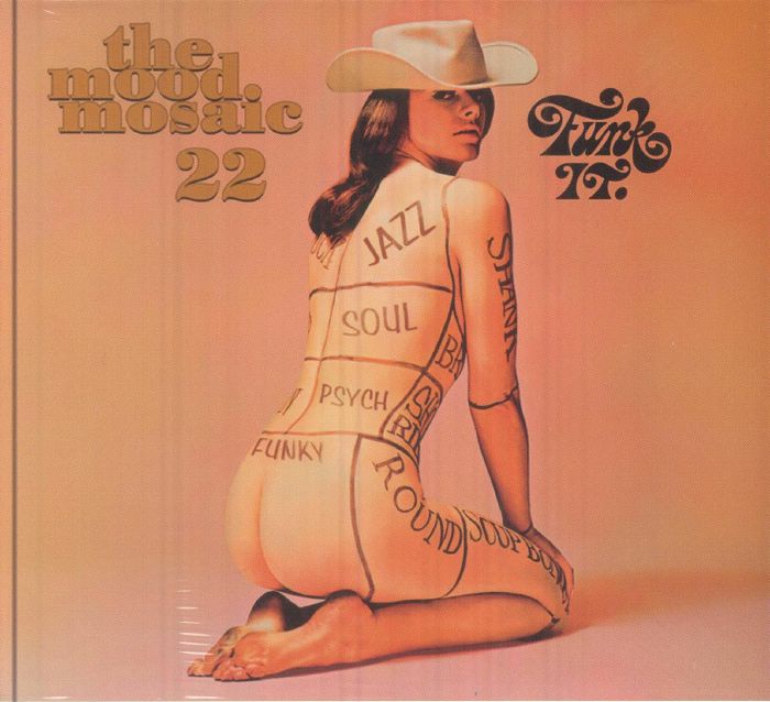 The Mood Mosaic 22: Funk It. - CD CD cover