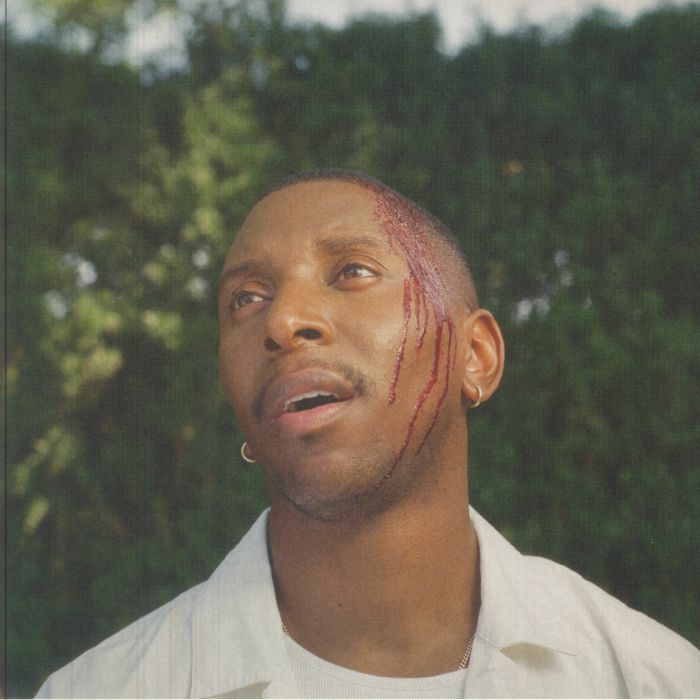 Honestly It Could Be Worse - Vinyl LP vinyl record cover