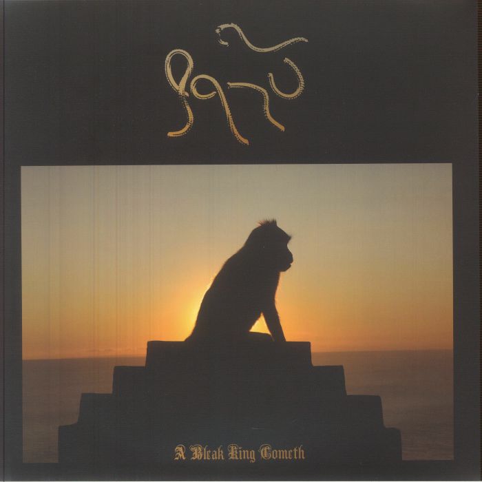 A Bleak King Cometh - Vinyl LP vinyl record cover