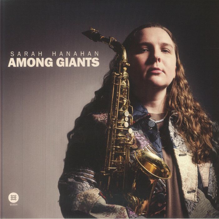 Among Giants - Vinyl LP vinyl record cover