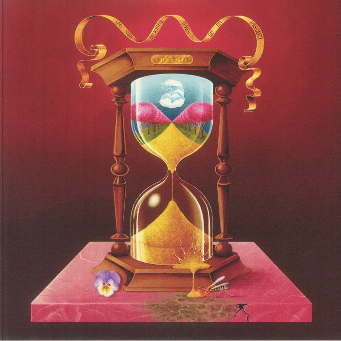 Can Such Delightful Times Go On Forever? - Vinyl LP vinyl record cover