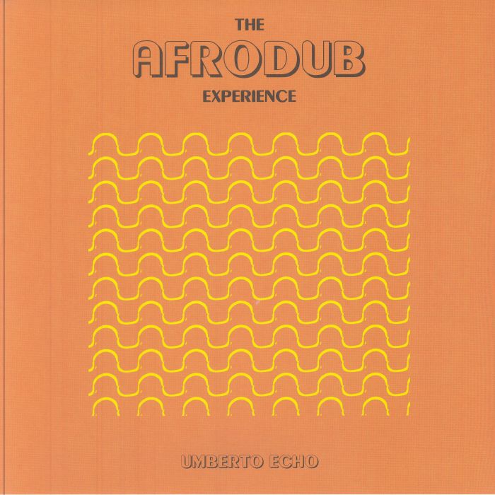 The Afrodub Experience - Vinyl LP vinyl record cover