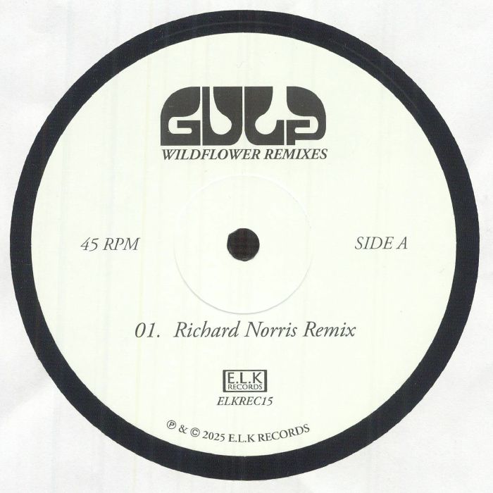 Wildflower (Remixes) - Vinyl EP vinyl record cover