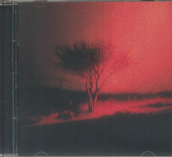 Piss In The Wind - CD CD cover