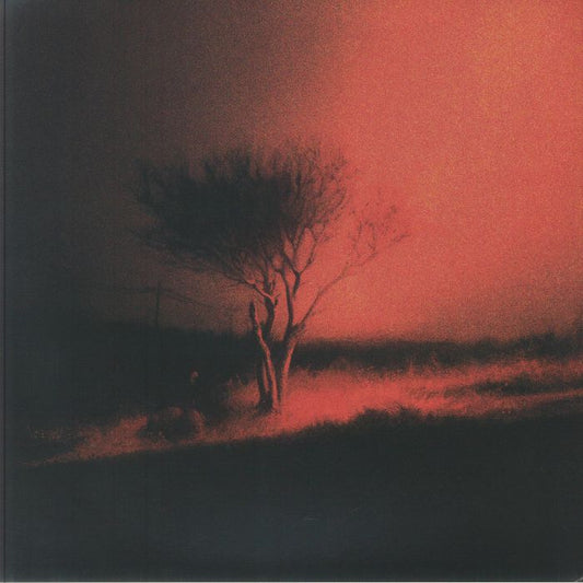 Piss In The Wind - Vinyl LP vinyl record cover