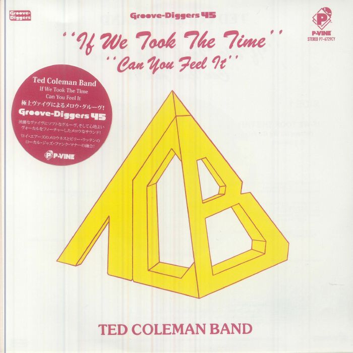If We Took The Time - Vinyl Single vinyl record cover