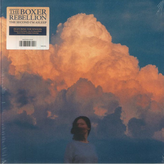 The Second I'm Asleep - Vinyl LP vinyl record cover