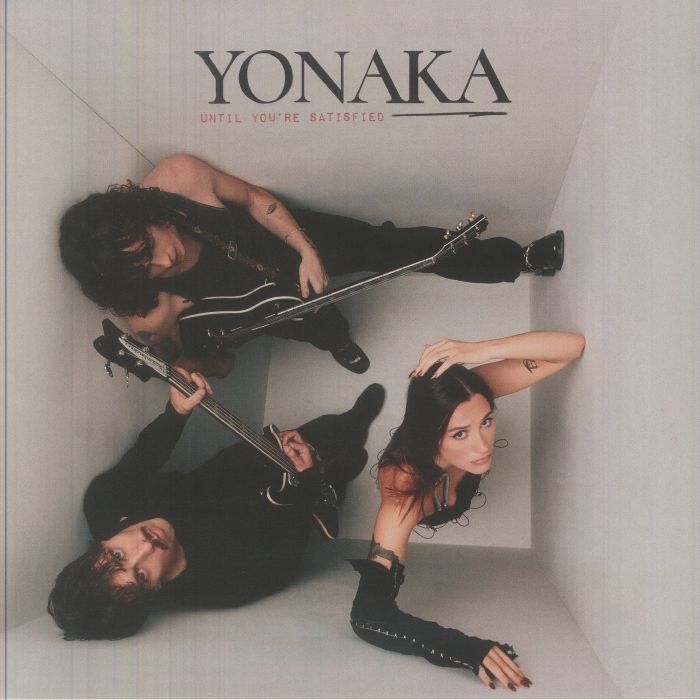 Until You're Satisfied - Vinyl LP vinyl record cover