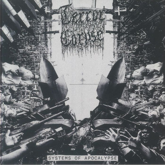 Systems Of Apocalypse - Vinyl LP vinyl record cover