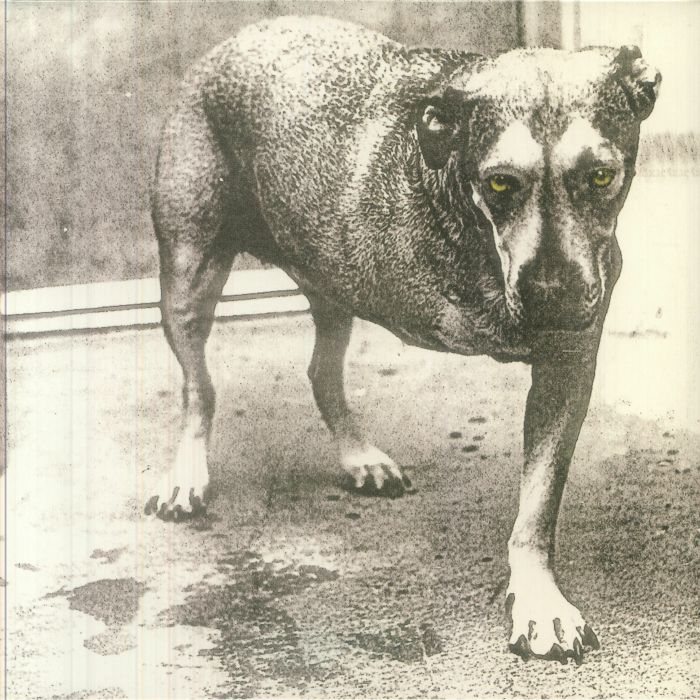 Alice In Chains (30th Anniversary Edition) - Limited Edition Yellow Vinyl 2xLP vinyl record cover