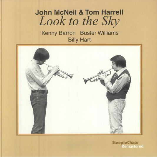 Look To The Sky - Vinyl LP vinyl record cover