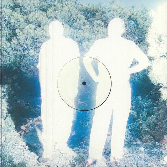 All Systems Are Lying - Vinyl Single vinyl record cover