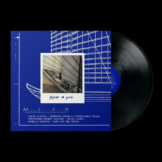 Junk (Remastered) - Vinyl LP vinyl record cover