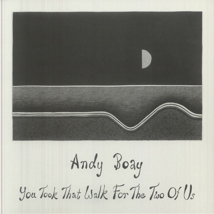You Took That Walk For The Two Of Us - Vinyl LP vinyl record cover