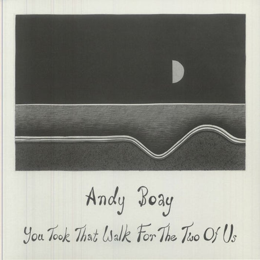 You Took That Walk For The Two Of Us - Vinyl LP vinyl record cover