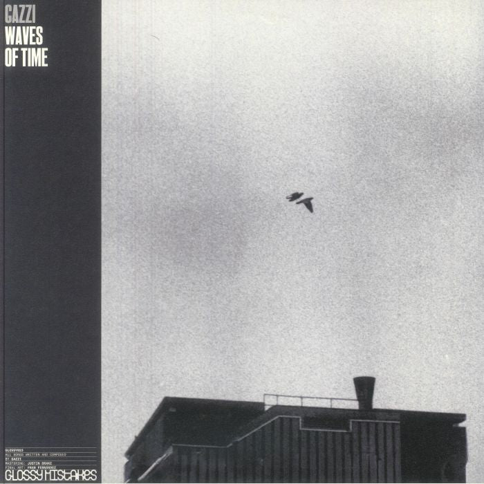 Waves Of Time - Vinyl LP vinyl record cover