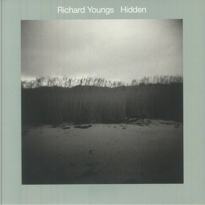 Hidden - Vinyl LP vinyl record cover
