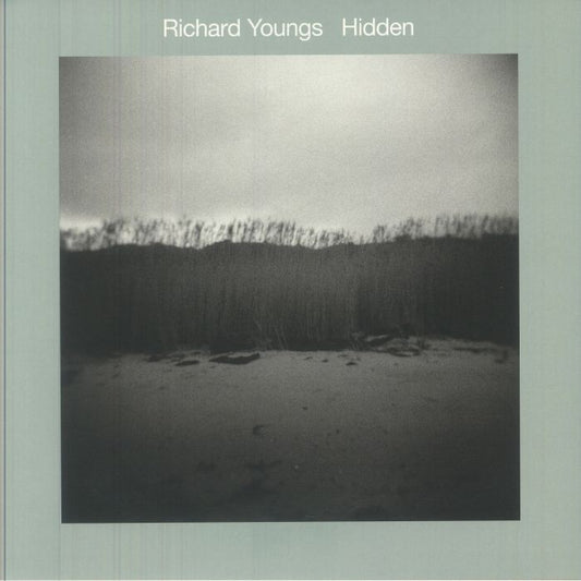 Hidden - Vinyl LP vinyl record cover