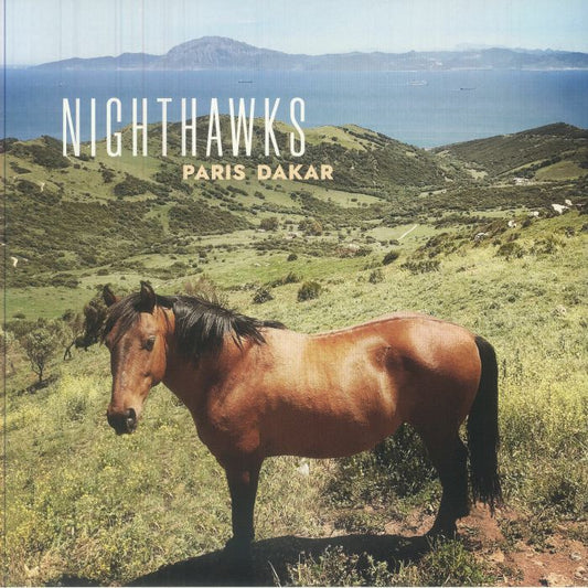 Paris Dakar - Vinyl LP vinyl record cover