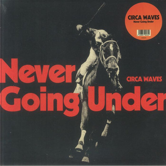 Never Going Under - Vinyl LP vinyl record cover