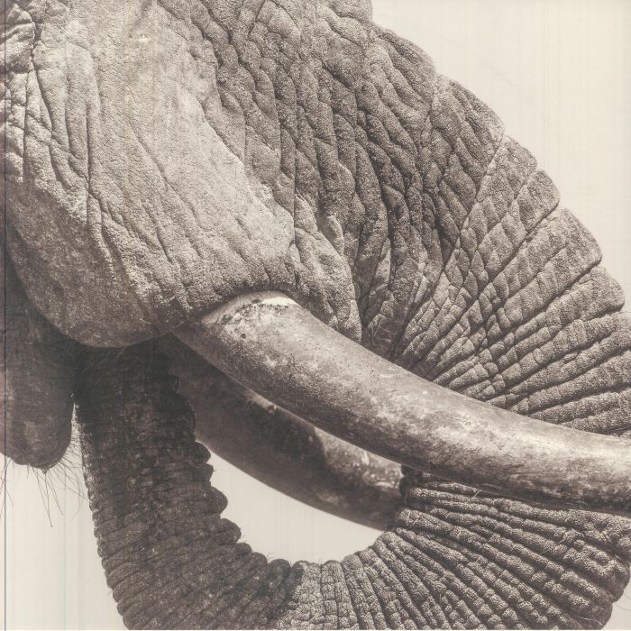 World Elephant Day - Vinyl LP vinyl record cover
