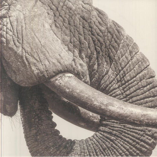World Elephant Day - Vinyl LP vinyl record cover