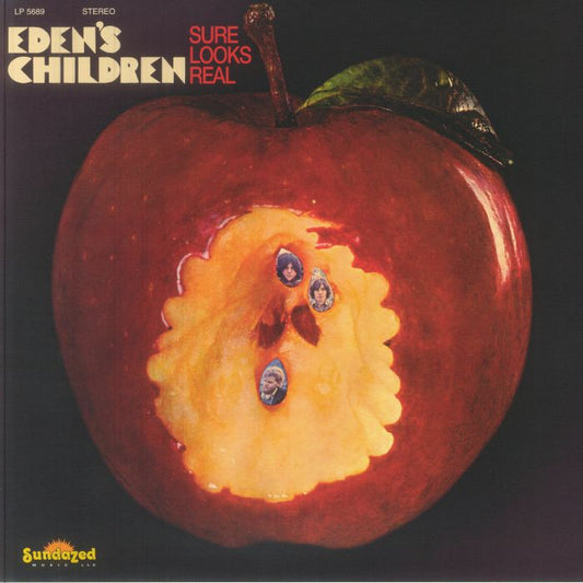 Sure Looks Real - Reissue Maroon Vinyl LP vinyl record cover