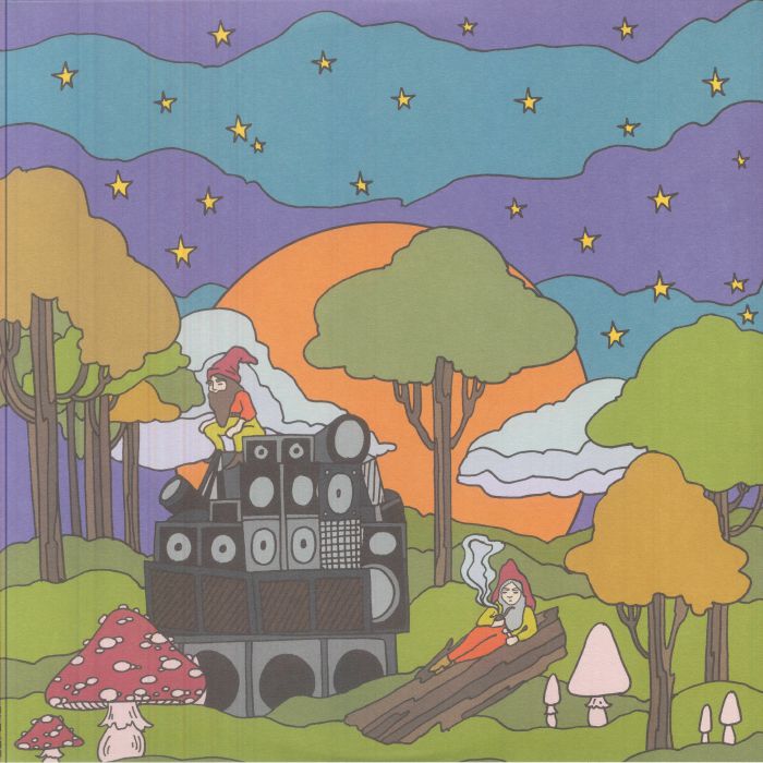 Vast - Vinyl LP vinyl record cover