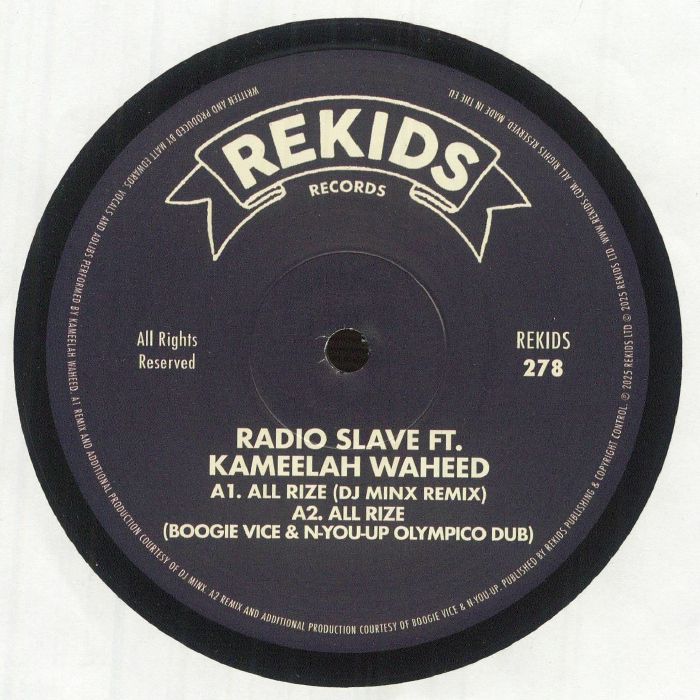 All Rize (Remixes II) - Vinyl Single vinyl record cover