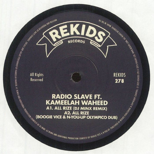 All Rize (Remixes II) - Vinyl Single vinyl record cover