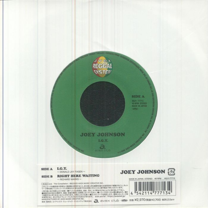 IGY (Japanese Edition) - Vinyl Single vinyl record cover