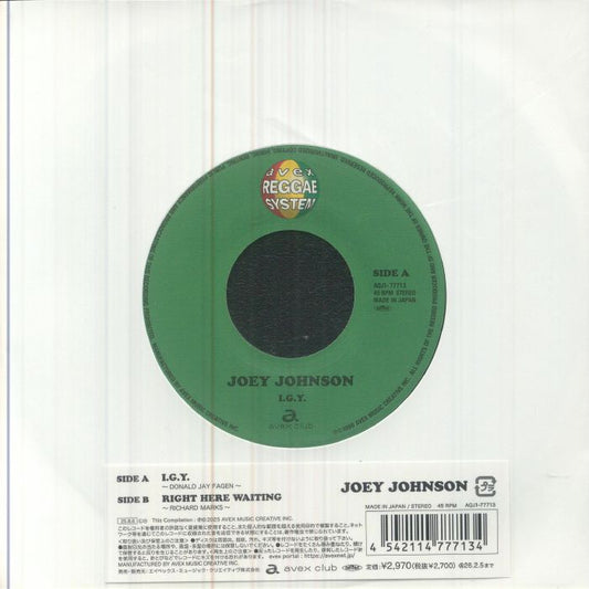 IGY (Japanese Edition) - Vinyl Single vinyl record cover