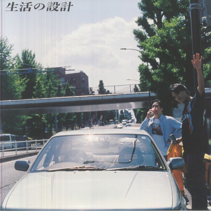 For The Long Curve - Vinyl LP vinyl record cover