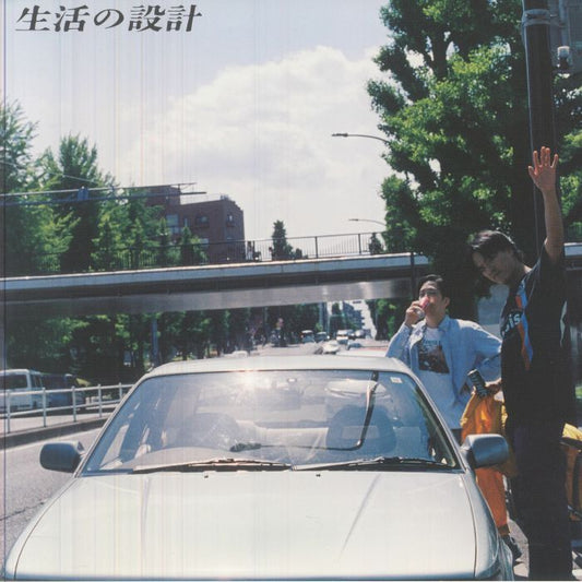 For The Long Curve - Vinyl LP vinyl record cover
