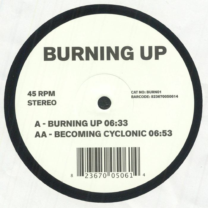 Burning Up - Vinyl Single vinyl record cover