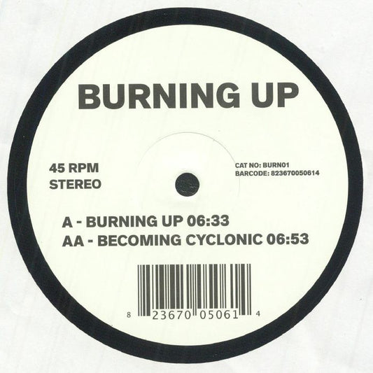 Burning Up - Vinyl Single vinyl record cover