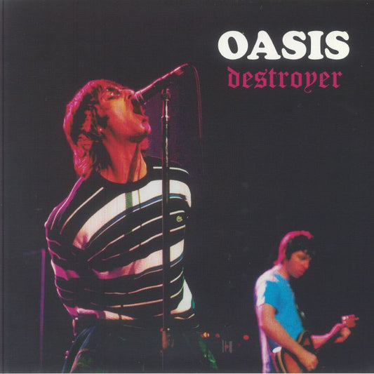 Destroyer: Live At Den Bosch 27 Nov 1997 - Pink Marbled Vinyl 2xLP vinyl record cover
