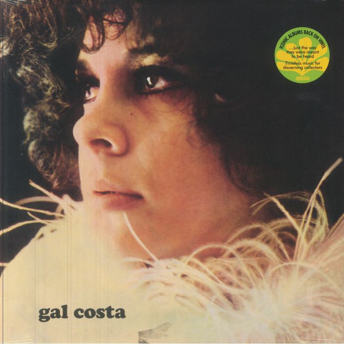 Gal Costa - Vinyl LP vinyl record cover