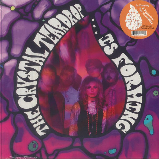 Is Forming - Limited Edition Pumpkin Vinyl LP vinyl record cover
