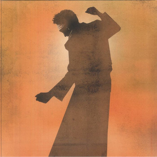 Ti Love - 2xLP vinyl record cover